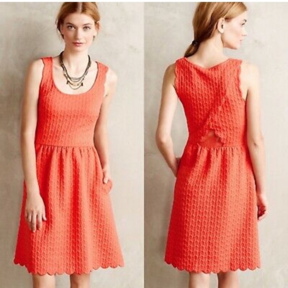 Maeve • Anthropologie Caye scalloped lace dress M